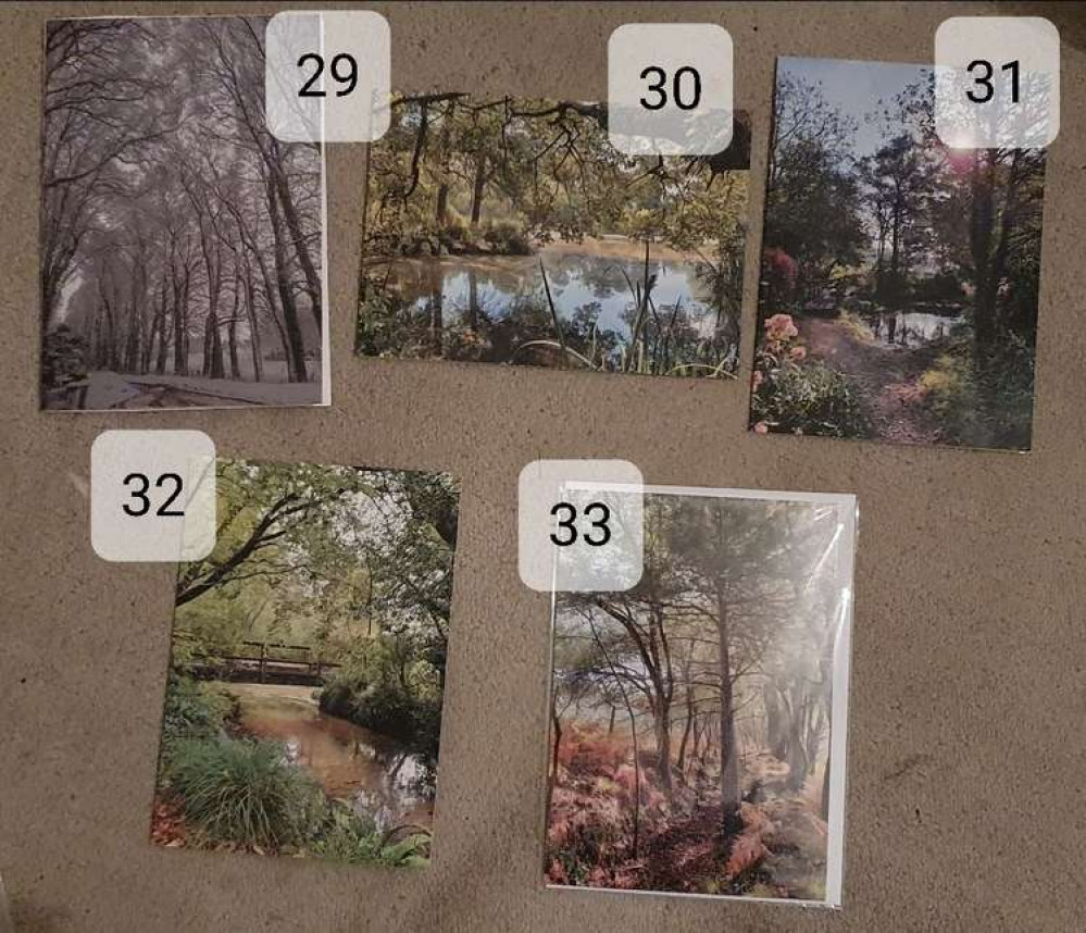 Some of the cards from Rachel's Hidden Dorset range