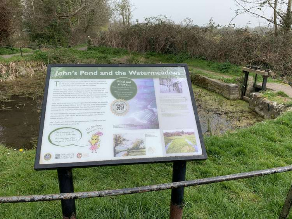 John's Pond and the Watermeadow