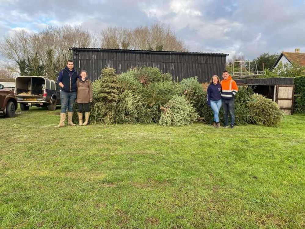 Christmas tree collection process last year