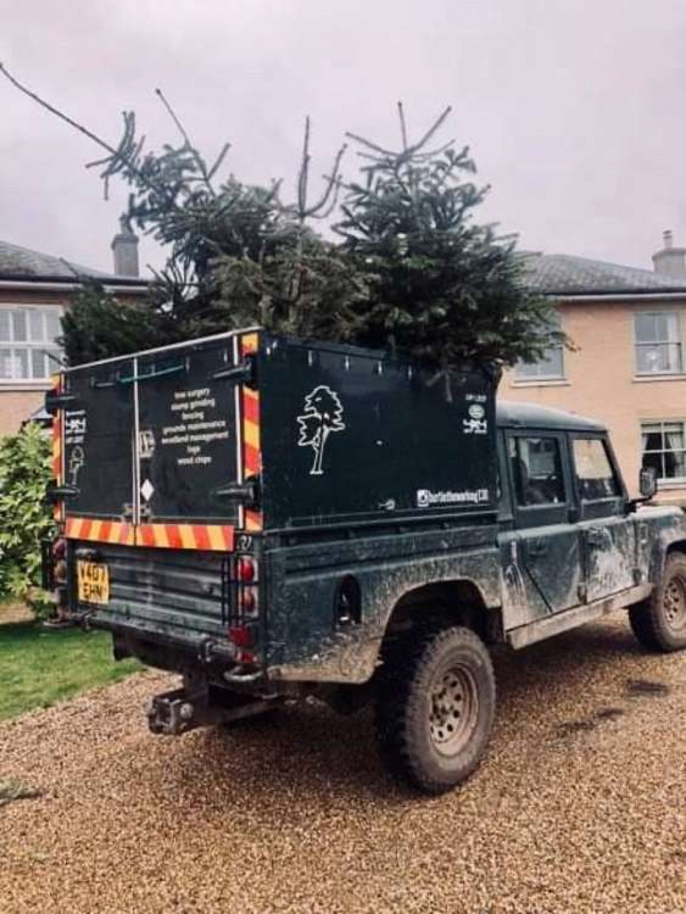 Christmas Tree collection hard at work