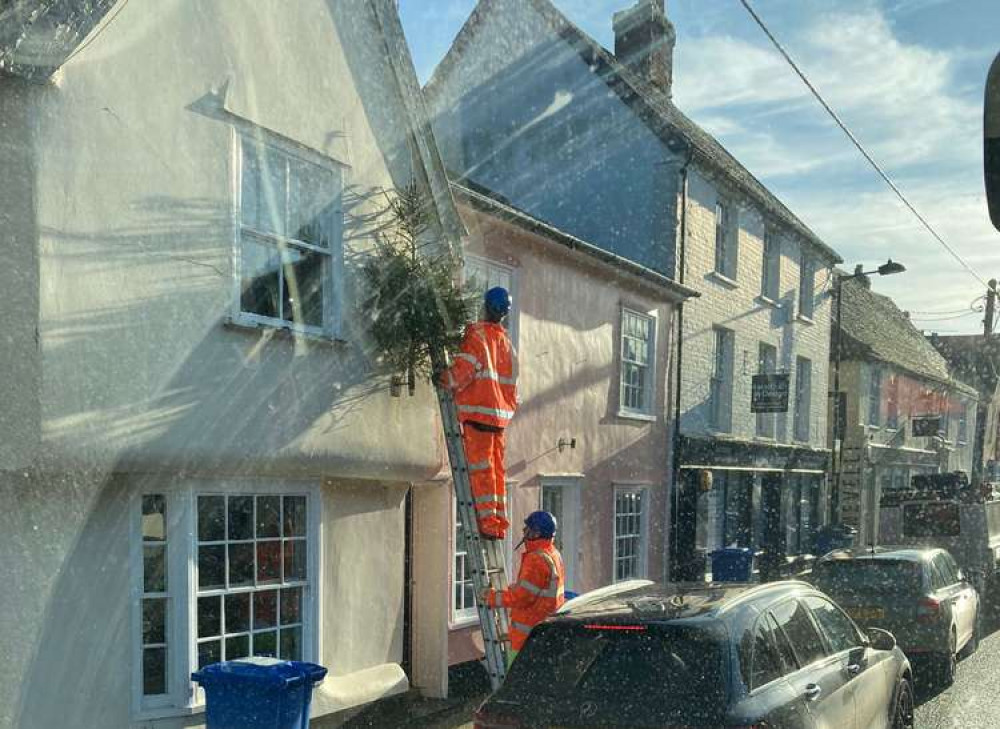 Workers taking down tree (Picture contributed) Workers taking down tree (Picture contributed)