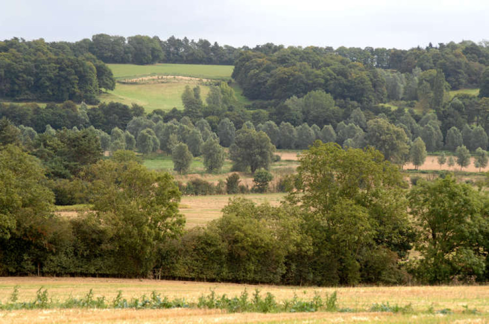 Dedham Vale AONB near Hadleigh area (Picture credit: Gregg Brown)