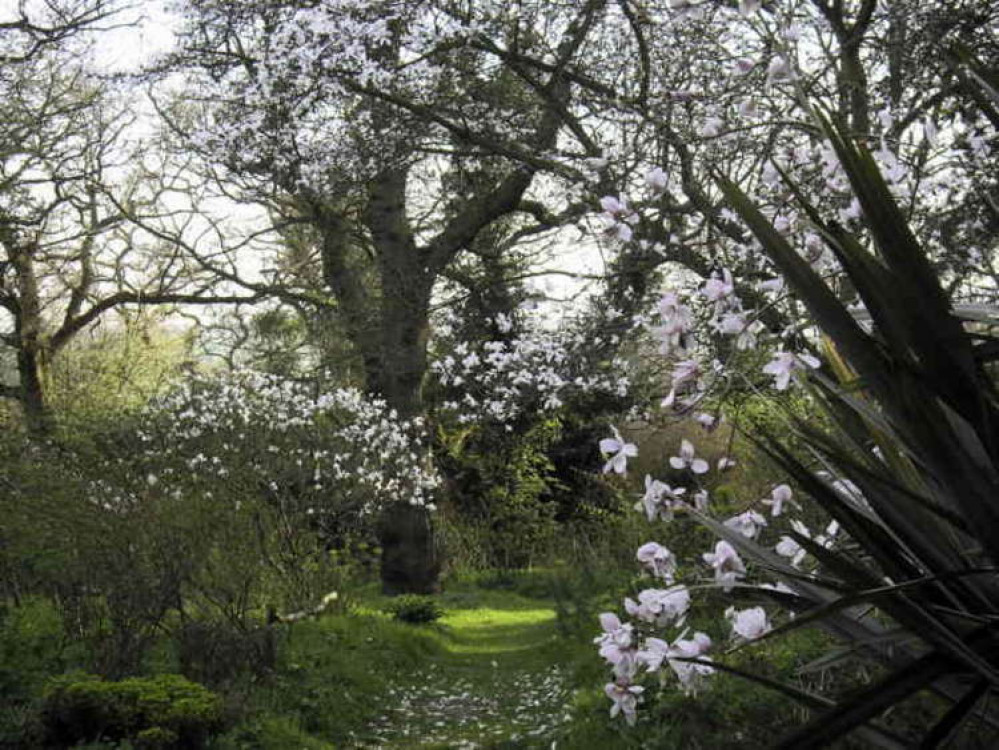 Natural beauty down the road at Blakenham