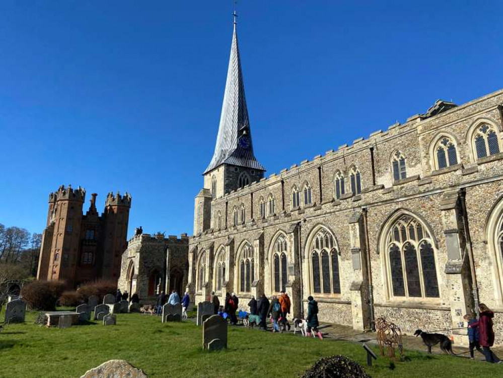 Dogs enjoying their stroll by St Mary's Church Hadleigh (Picture credit: Angela Wiltshire)