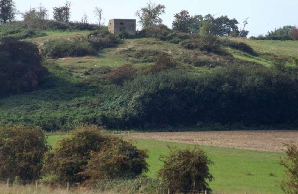 Couple walked from Polstead to Hadleigh (Picture credit: Hadleigh Nub News)