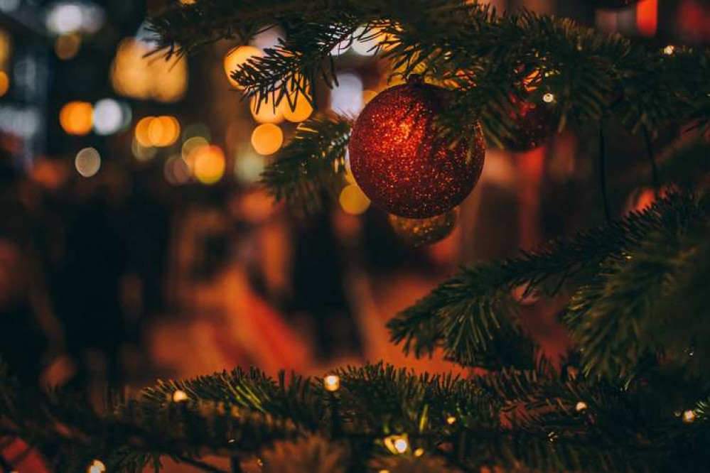 Burnham and Dengie residents are being encouraged to recycle their Christmas trees for Farleigh Hospice (Photo: Szabo Viktor / Unsplash)