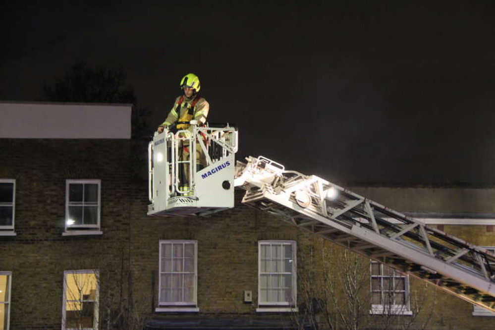 This kind fireman rescued Billy and placed him atop the Christmas tree (Image: Issy Millett, Nub News)