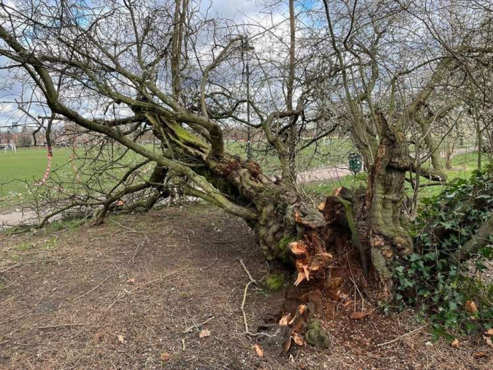 (Image: The Friends of Clapham Common)