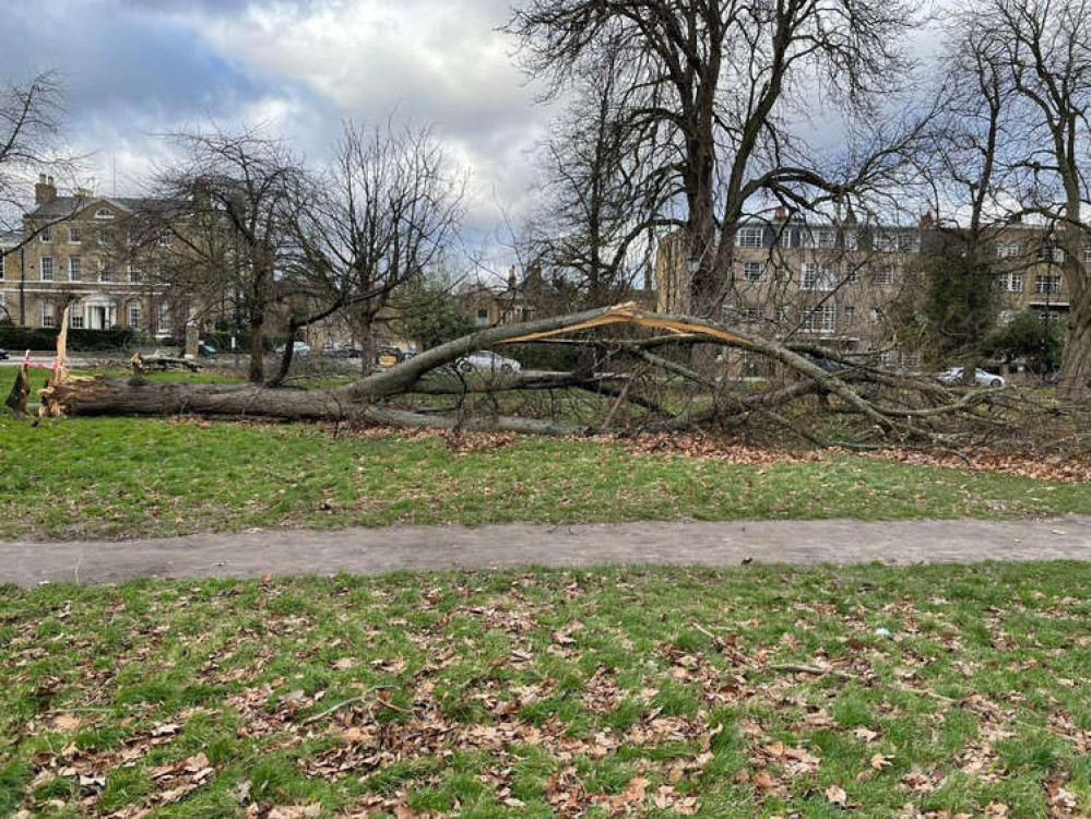 (Image: The Friends of Clapham Common)