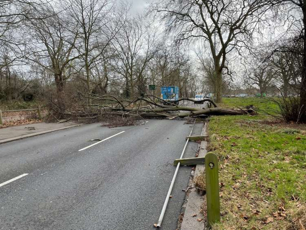 (Image: The Friends of Clapham Common)