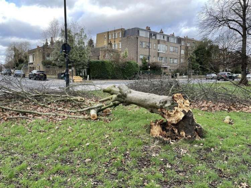 (Image: The Friends of Clapham Common)