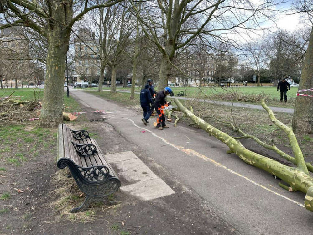 (Image: The Friends of Clapham Common)