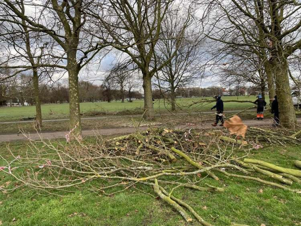 (Image: The Friends of Clapham Common)