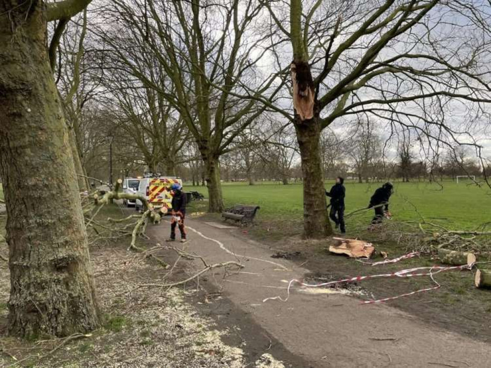 (Image: The Friends of Clapham Common)