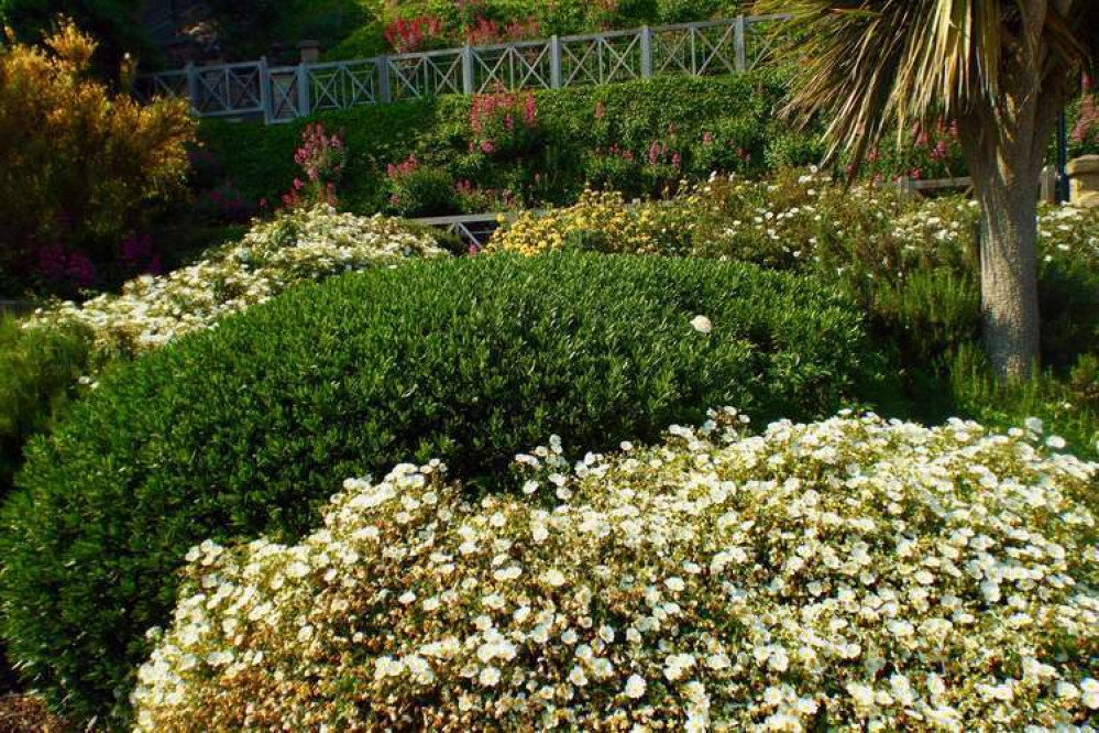 Sea Front Gardens