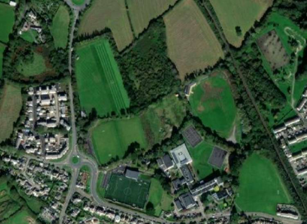 The woods behind the school.