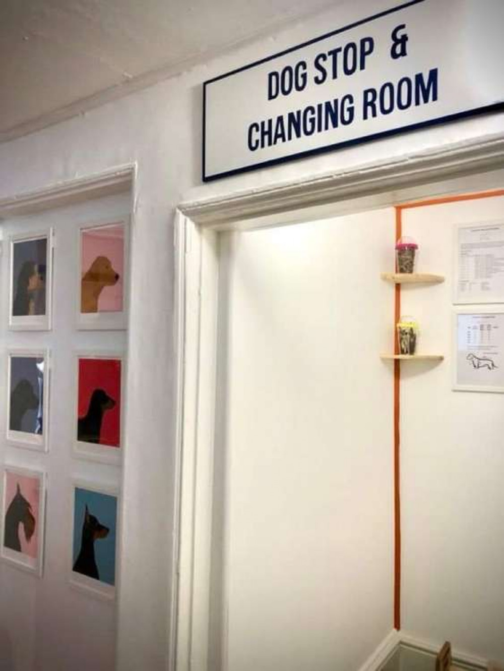 Doggy changing rooms. Southpaw Dog Store, Falmouth.