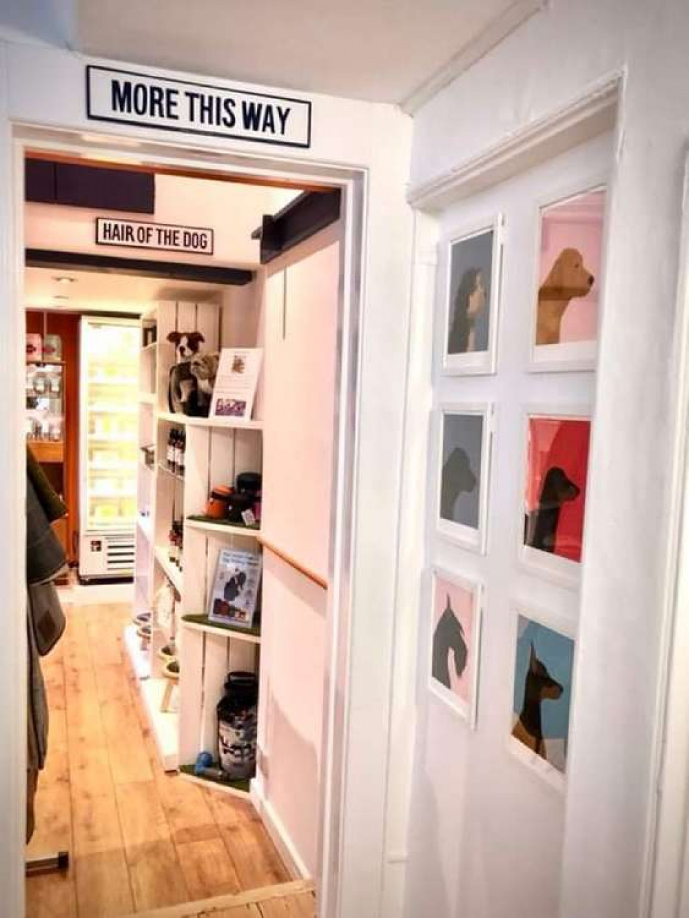 Inside Southpaw Dog Store, Falmouth.