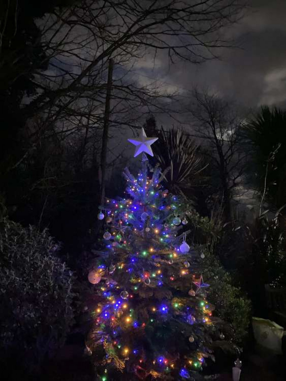 The memorial tree at Glebe Cemetery.