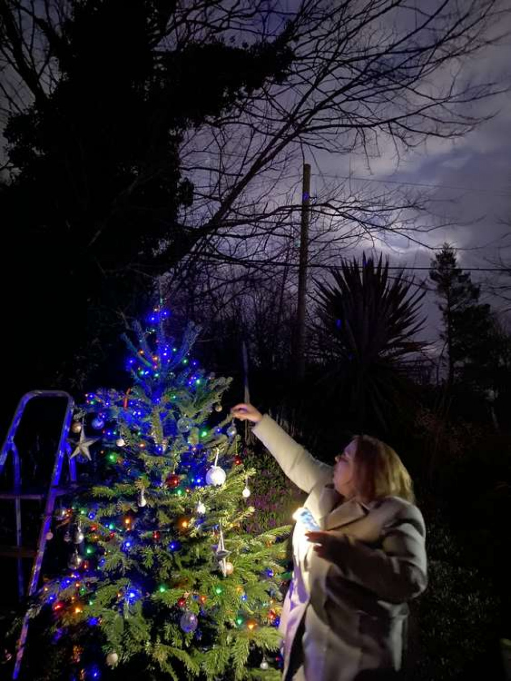 Putting a bauble on the tree.