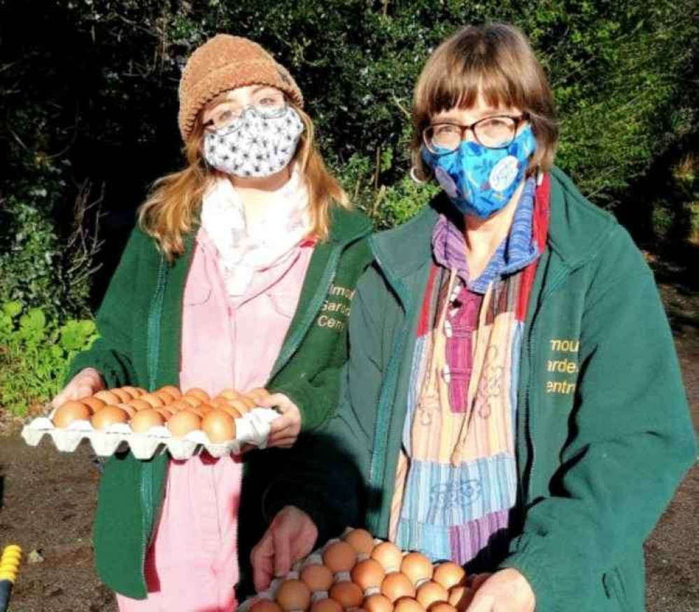 The team from Falmouth Garden Centre with some eggs. Credit: Falmouth Garden Centre.