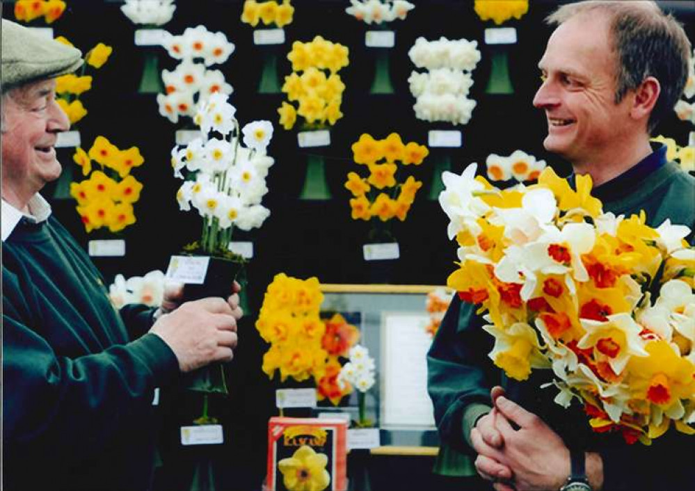 Falmouth daffodil growers Ron (left) and his son Adrian (right) with their display of historic and new daffodils bred by the Scamps. Their stand a favourite at the show and returns this year. Credit: Falmouth Spring Flower Show Archive. Falmouth daffodil growers Ron (left) and his son Adrian (right) with their display of historic and new daffodils bred by the Scamps. Their stand a favourite at the show and returns this year. Credit: Falmouth Spring Flower Show Archive.