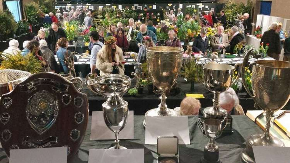 The show at Princess Pavilion with the cups arranged front of stage. Credit: Falmouth Spring Flower Show archive. The show at Princess Pavilion with the cups arranged front of stage. Credit: Falmouth Spring Flower Show archive.