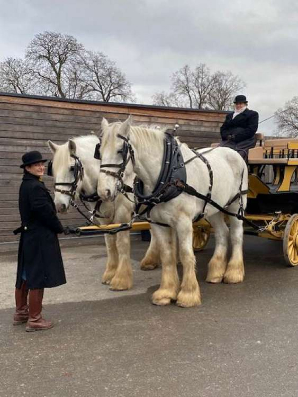 Horse and carriage rides across Bushy Park are available throughout Christmas and New Year Horse and carriage rides across Bushy Park are available throughout Christmas and New Year