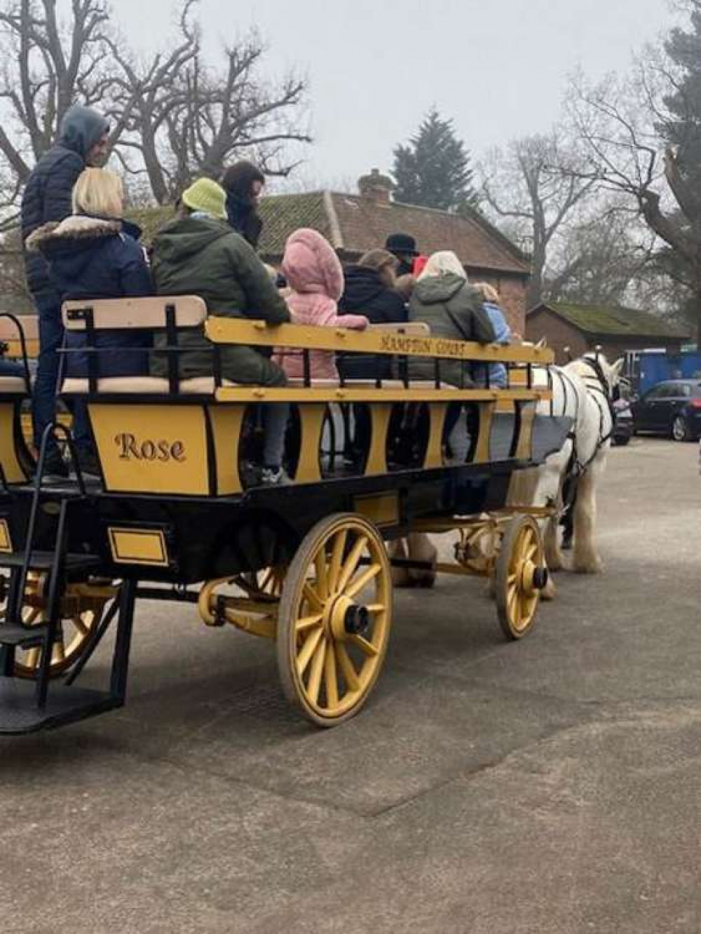 Horse-drawn Christmas carriage rides through Bushy Park include mulled wine and mince pies Horse-drawn Christmas carriage rides through Bushy Park include mulled wine and mince pies