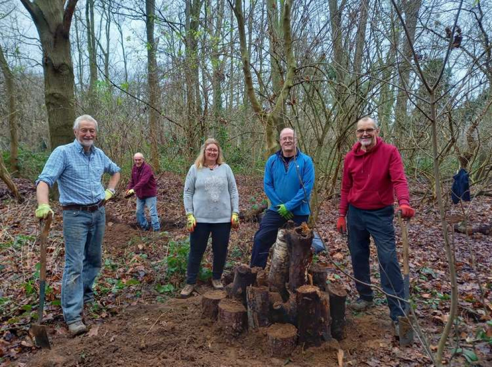Bushy Park conservation volunteers were out building loggeries yesterday (Image: Royal Parks) Bushy Park conservation volunteers were out building loggeries yesterday (Image: Royal Parks)