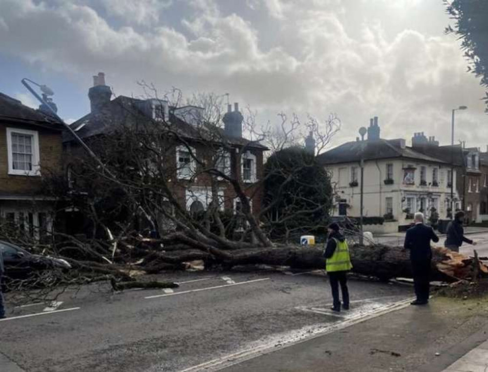 A woman in a high-vis jacket examines the tree which is blocking the road