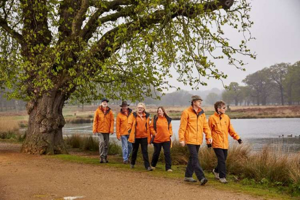 The volunteer rangers wear orange jackets