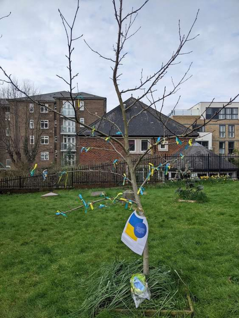 Visitors show solidarity with Ukraine by tying ribbons to a tree (Image: Nub News)