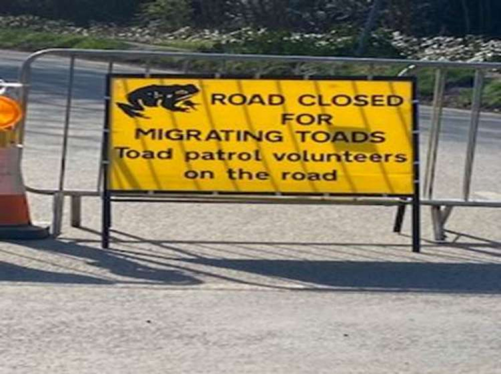 A road near Richmond Park is now closed so that toads can 'hop' to the other side