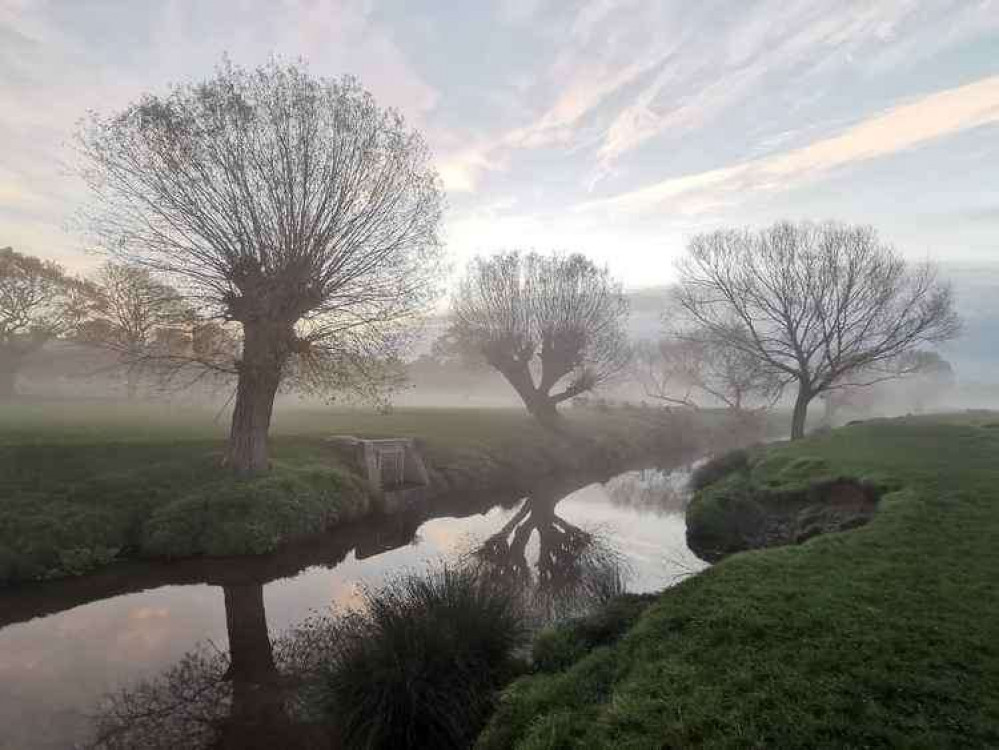 The Brook photographed by Amanda Boardman.