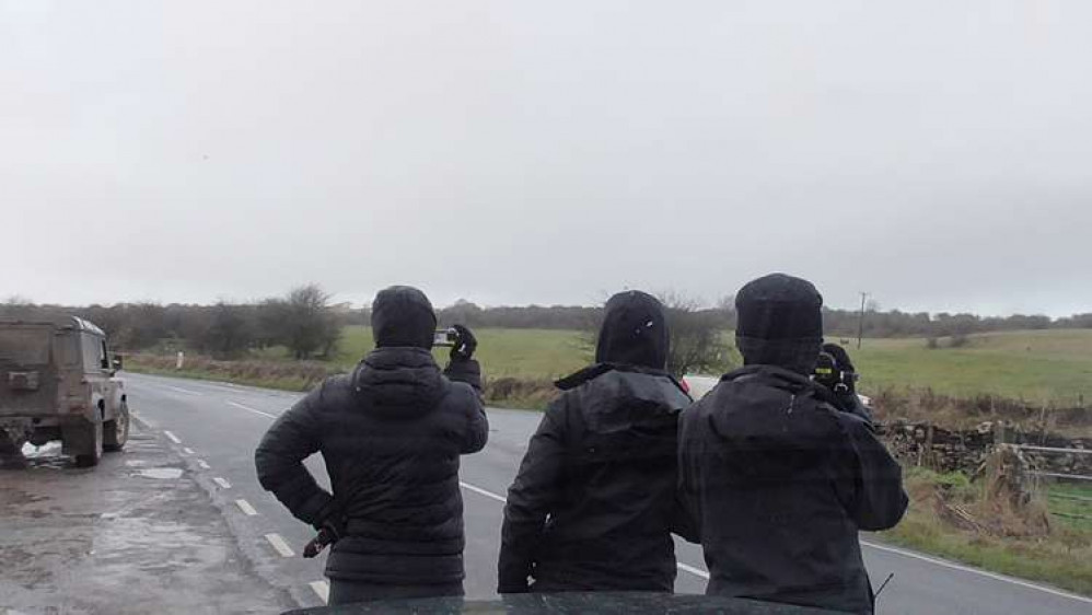 Mendip Hunt Sabs watch as hounds mark to ground in a badger sett. Mendip Hunt Sabs watch as hounds mark to ground in a badger sett.