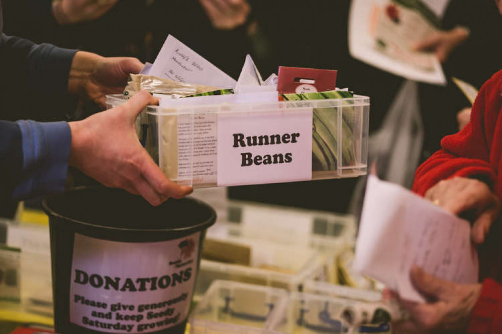 On for the twelfth year in Timsbury - you will find heritage seeds too On for the twelfth year in Timsbury - you will find heritage seeds too