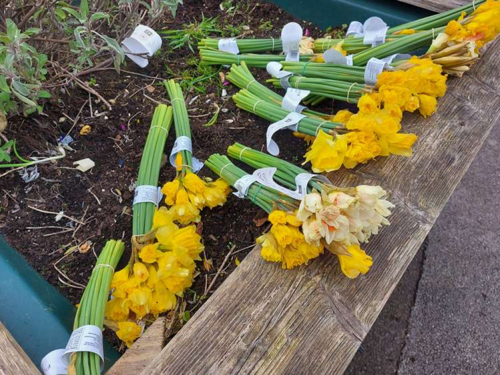 Easter is very nearly here - someone tell the daffodils Easter is very nearly here - someone tell the daffodils