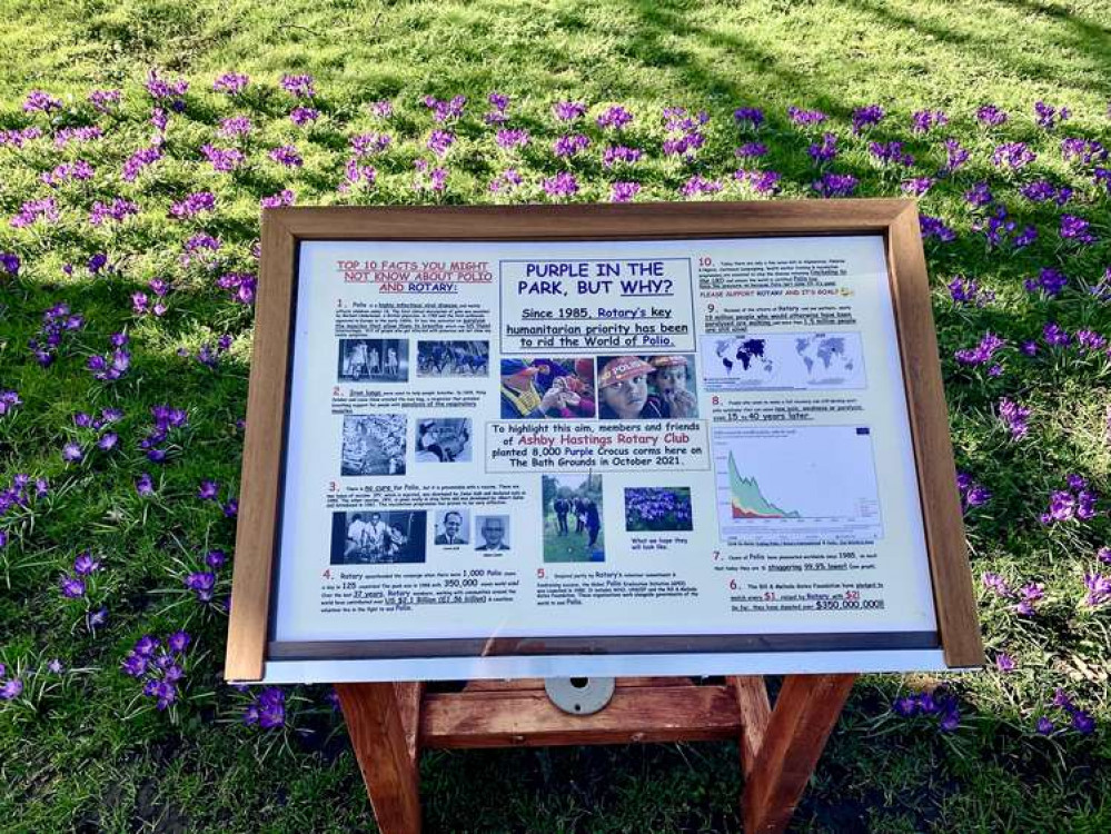 A sign explains the blooms and the worldwide fight against Polio