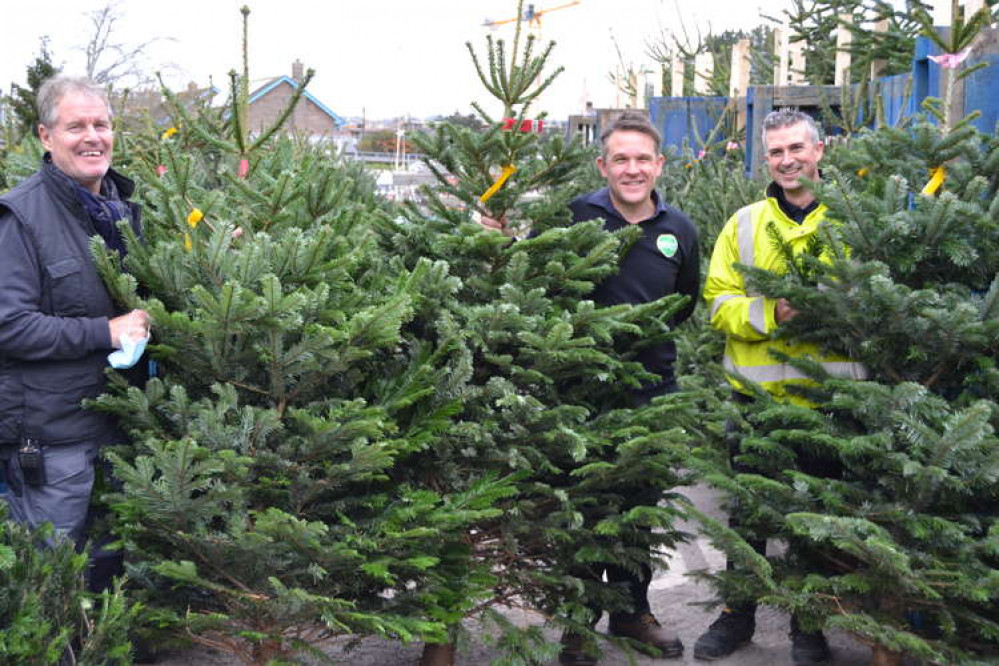 A number of local businesses have come forward to support Groves Nurseries' Christmas tree campaign