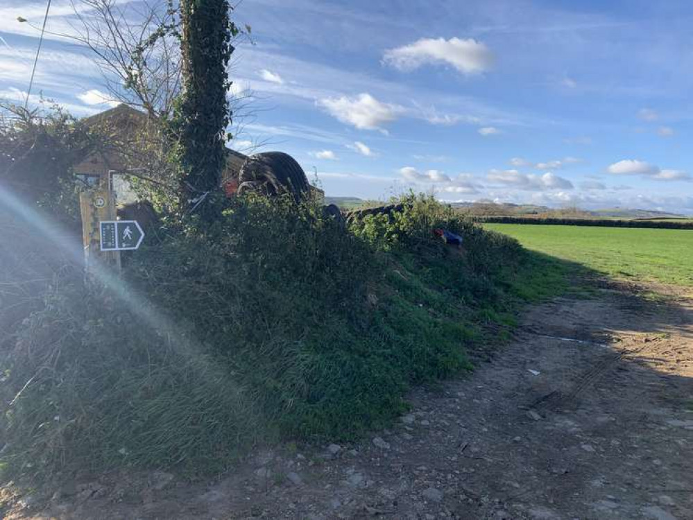 Turn right to take the footpath through this field