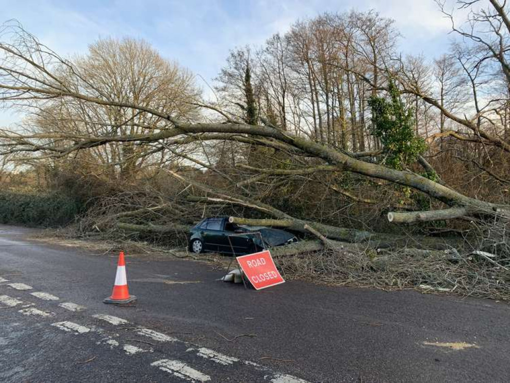 Car crushed by fallen tree in Lower Walditch Lane amidst Storm Eunice