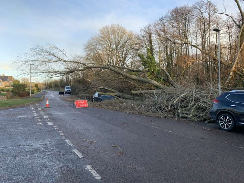 Car crushed by fallen tree in Lower Walditch Lane amidst Storm Eunice