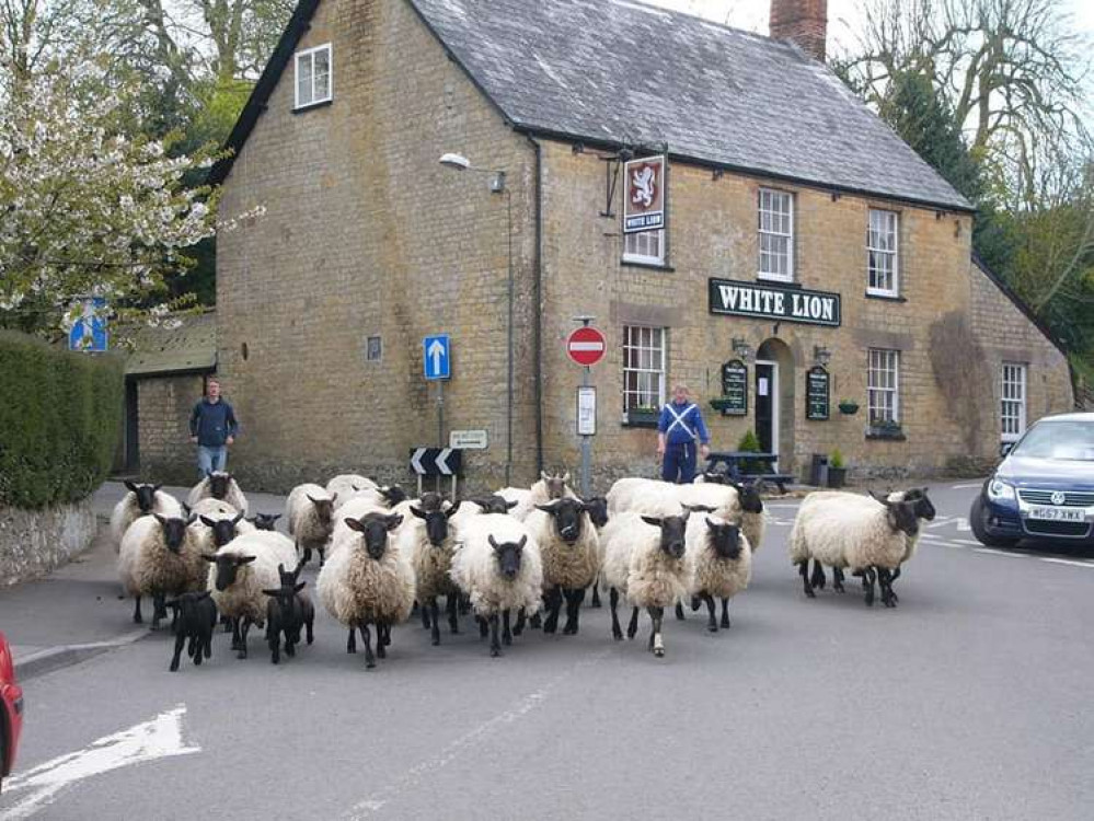 White Lion pub in Broadwindsor will soon be run by the community