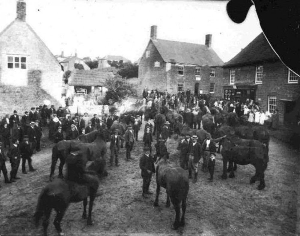 Horses commandeered for the First World War