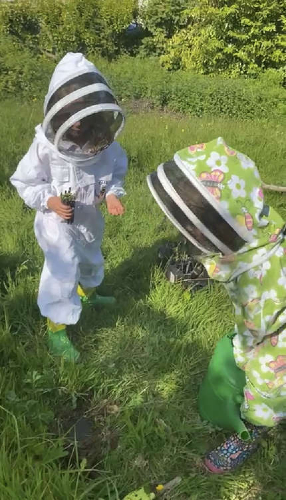 Symondsbury Primary School is raising money for children's bee suits and hive Symondsbury Primary School is raising money for children's bee suits and hive