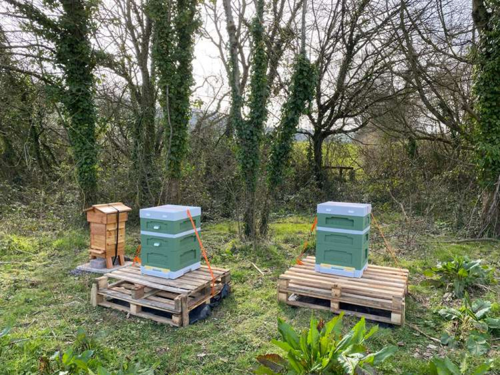Symondsbury Primary School is raising money for children's bee suits and hive Symondsbury Primary School is raising money for children's bee suits and hive