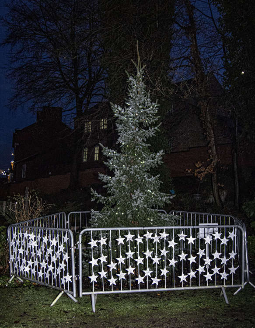 Congleton: The Tree of Light. Congleton: The Tree of Light.