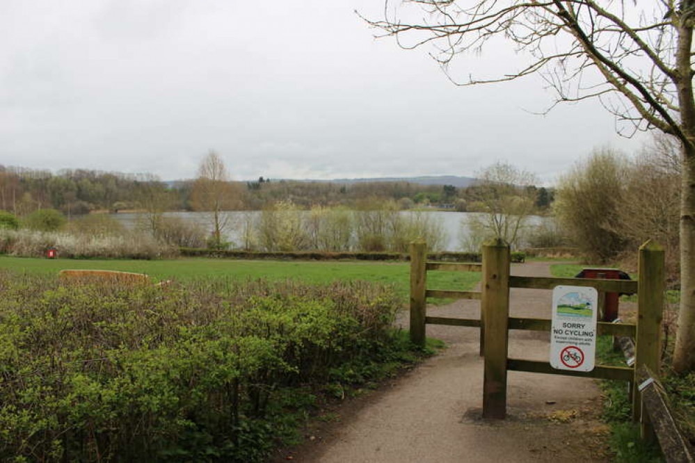 Want a fun, healthy and free activity to do this weekend? Why not help the Spring Clean at Astbury Mere? You can bring your dog to the litter pick as well.