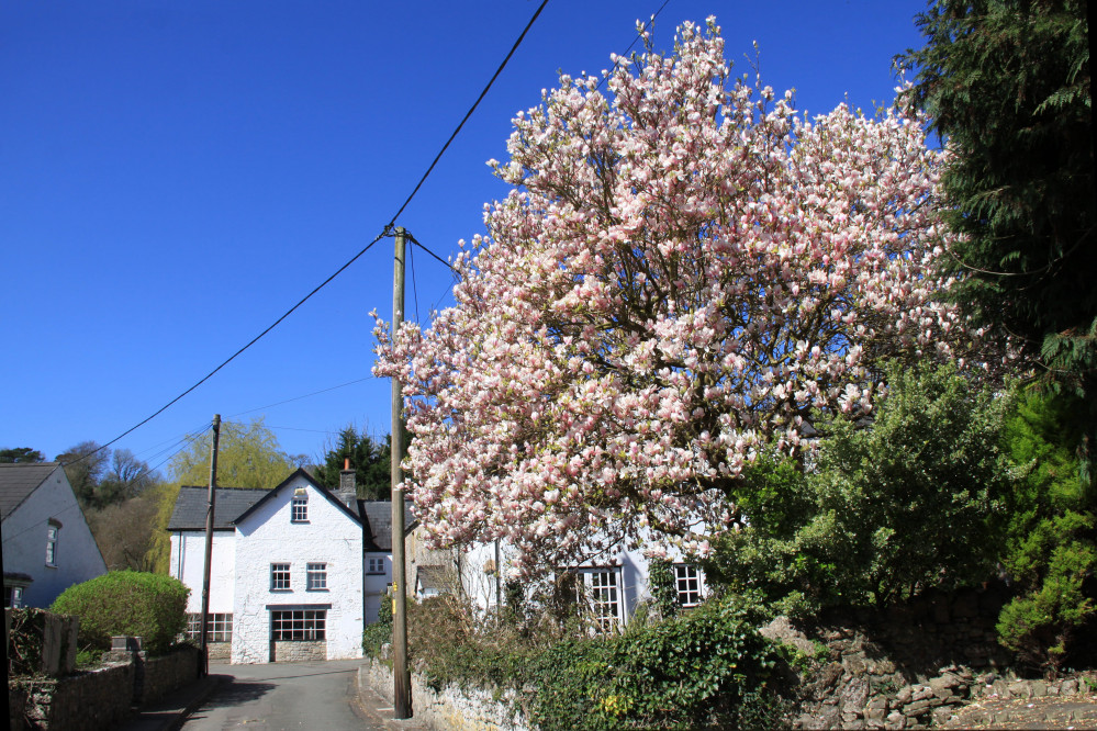 Light clouds will start the day from 08:00 and continue throughout the rest of the morning. (Image credit: Ben Salter)